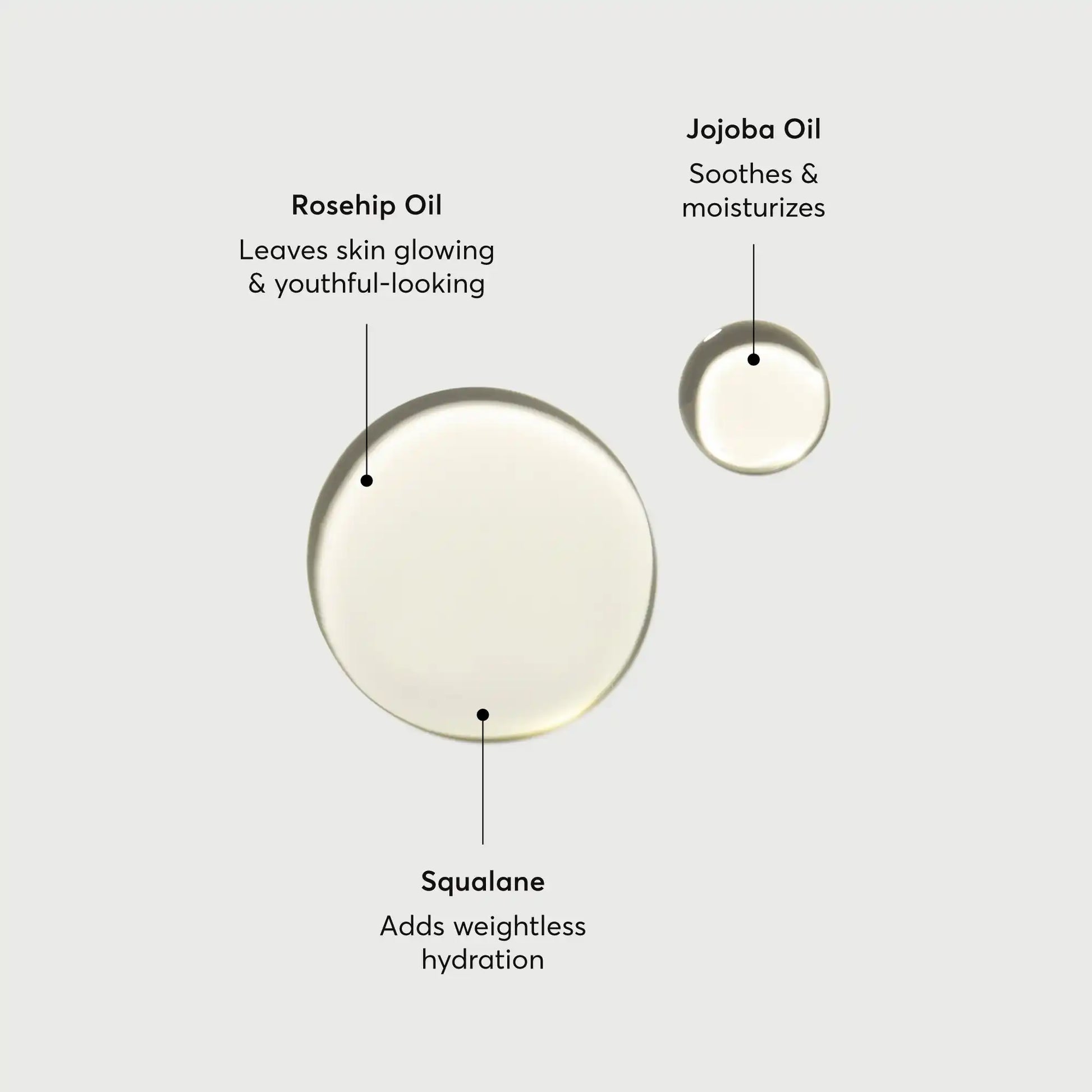 the-glow-getter-body-oil-x5 NATR-10115-Alt-Images-The-Glow-Getter-Body-Oil-01.webp