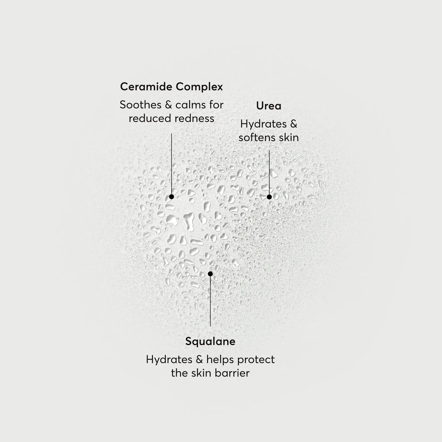 barrier-bounce-bi-phase-mist-d6 NATR-10167-Alt-Images-Barrier-Bounce-Bi-Phase-Toner-Mist_01.webp