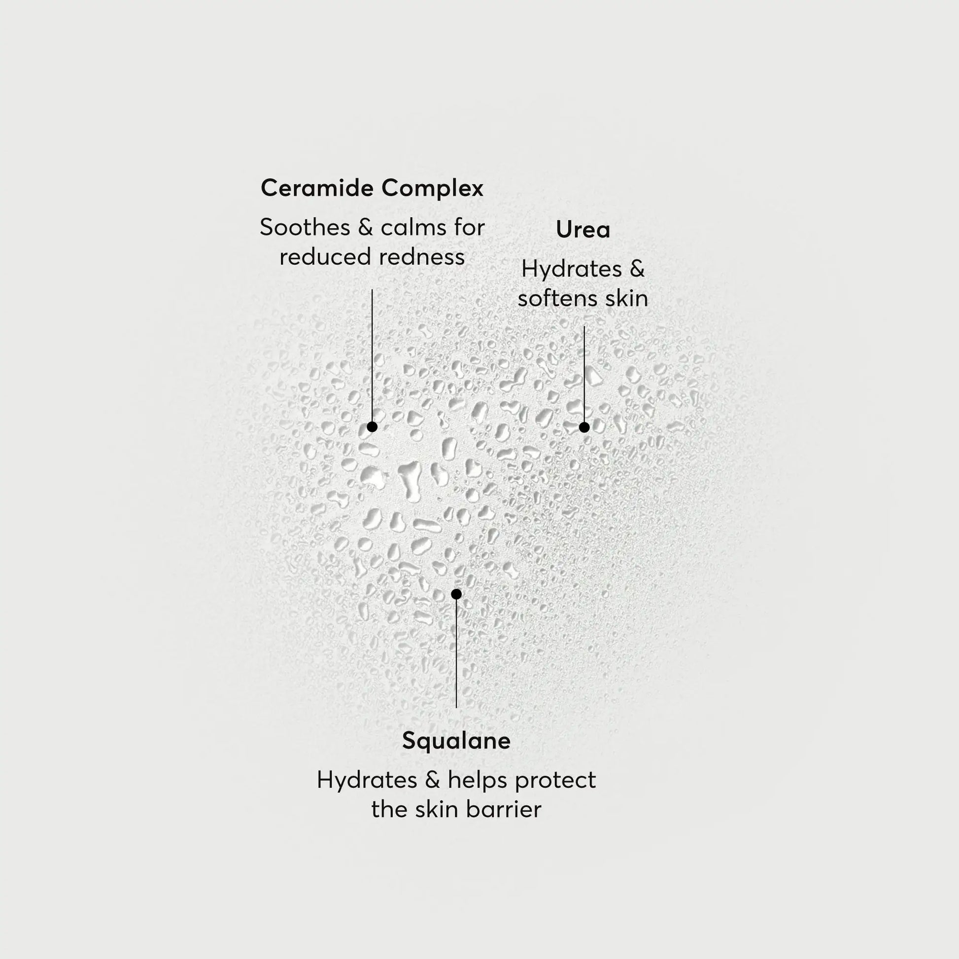 barrier-bounce-bi-phase-mist-d6 NATR-10167-Alt-Images-Barrier-Bounce-Bi-Phase-Toner-Mist_01.webp